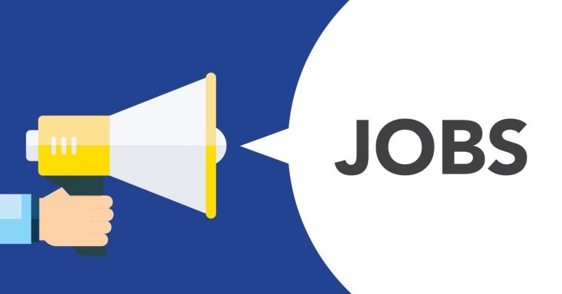 Advocate-job-vacancy-for-trademark-services-at-Mukherjee-Nagar-Delhi